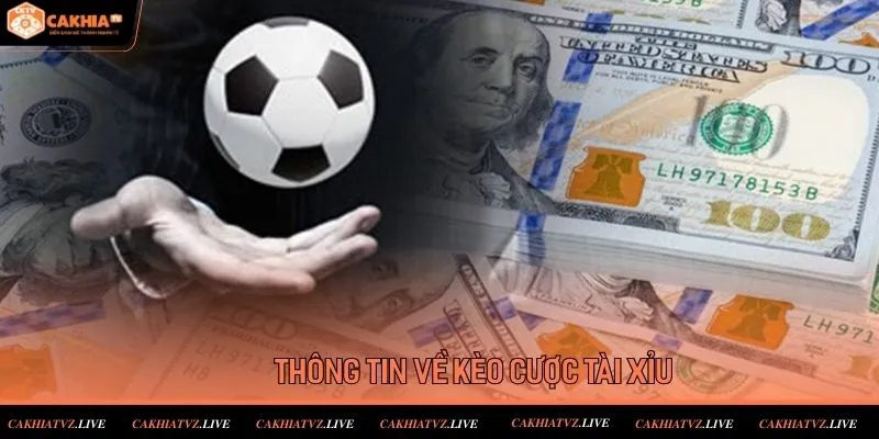 Thông tin về cách nhận định biến động tỷ lệ kèo bóng đá 