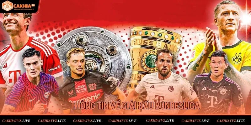 Thông tin về giải đấu bóng đá hàng đầu thế giới Bundesliga